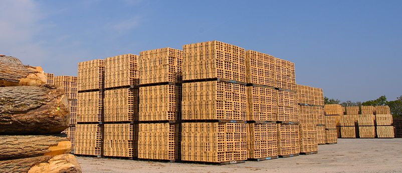 FAPROMA y la UPM analizan los precios de la madera aserrada para embalaje.