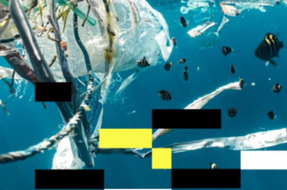 The Foundation and WWF launch campaign calling for a legally binding treaty on plastic pollution