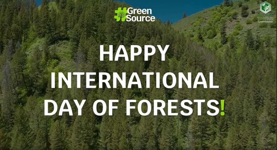 Día Internacional de los Bosques: Proteger un futuro más verde