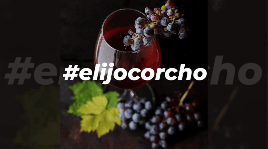 España refuerza su liderazgo corchero con más de 500.000 hectáreas de alcornocales y 30.000 toneladas anuales de producción, clave para el vino premium y la sostenibilidad.